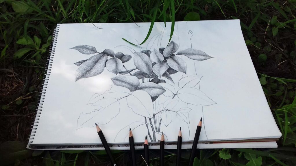 Realistic pencil sketch of plant leaves in progress on a spiral sketchbook, surrounded by black graphite pencils and placed on grass.
