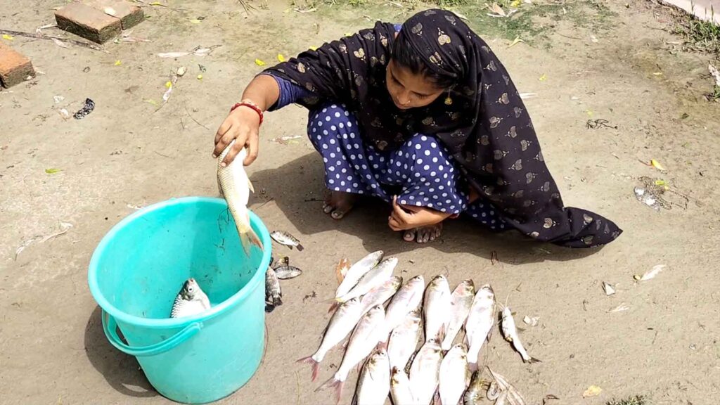 A village woman sorting freshly caught fish into a blue bucket, seated on the ground near a pond.