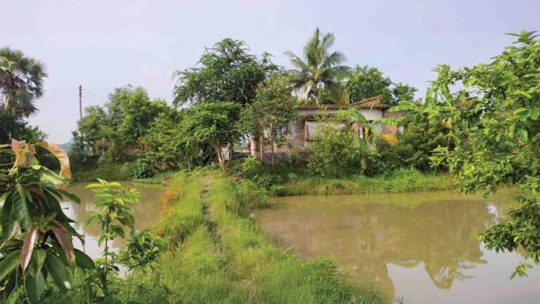 Rural house surrounded by trees with a pond and greenery in the foreground.