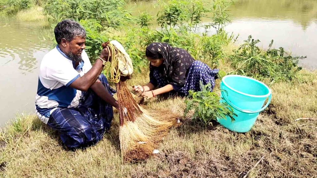 A man and a woman sitting beside a village pond, untangling fish from a fishing net with a blue bucket nearby.
