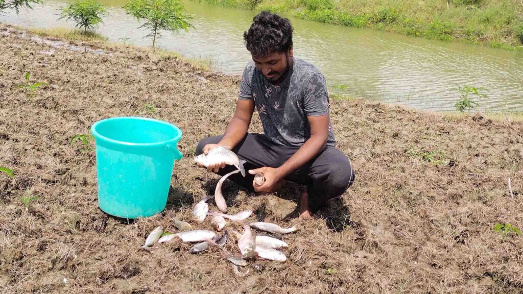 A man sitting on muddy ground near a pond, holding freshly caught fish with a bucket beside him.