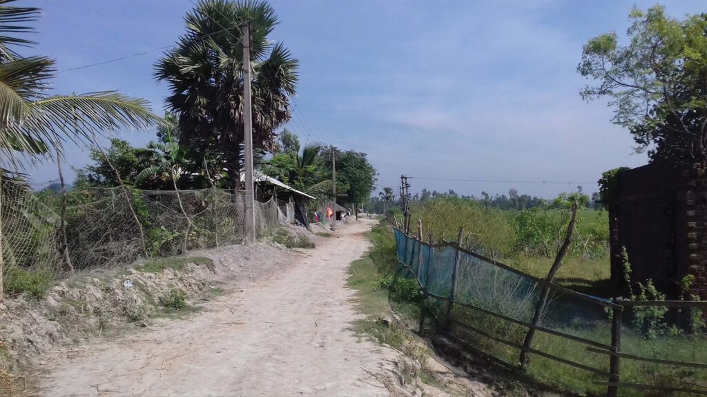 Village road leading to Bally Ferry Ghat in Sundarban, surrounded by palm trees and green fields.