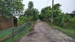 Muddy village road lined with green trees, small houses, and an old brick structure in a Sundarban village during the rainy season.