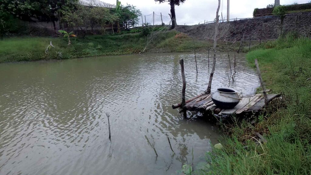 A handmade wooden platform by a pond in Sundarban with a traditional metal pot used for mud crab catching.