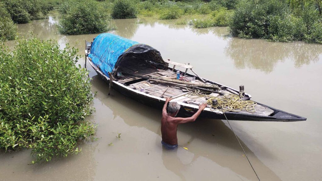 An elderly man pulling a traditional wooden boat in a muddy Sundarban canal surrounded by mangrove trees.